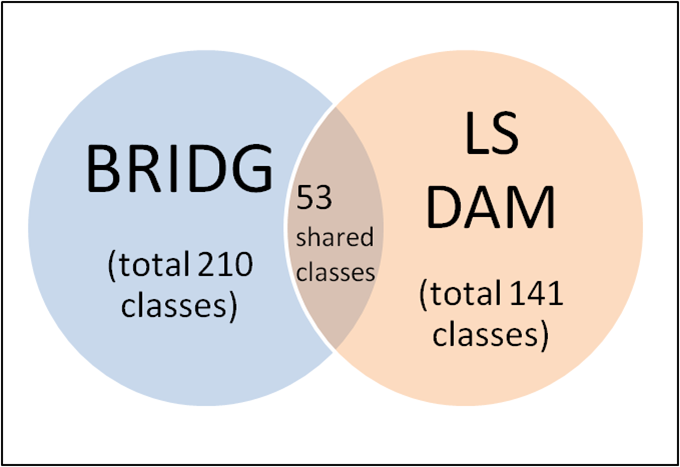 Venn diagram showing BRIDG (210 classes), LS DAM (141 classes) and 53 shared classes
