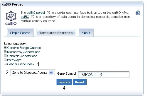 Portlet GeneSearch