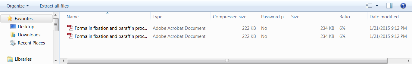 compressed folder contents including two PDFs
