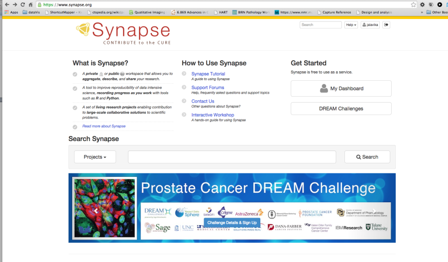 Portal for the Synapse platform