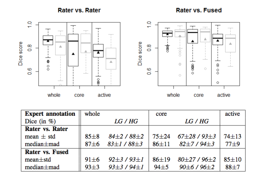 Dice coefficients of inter-rater agreement and of rater vs. fused label maps