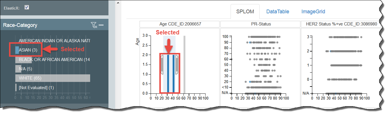 DataScope showing the selected Race-Category of Asian and the age range of 30-40
