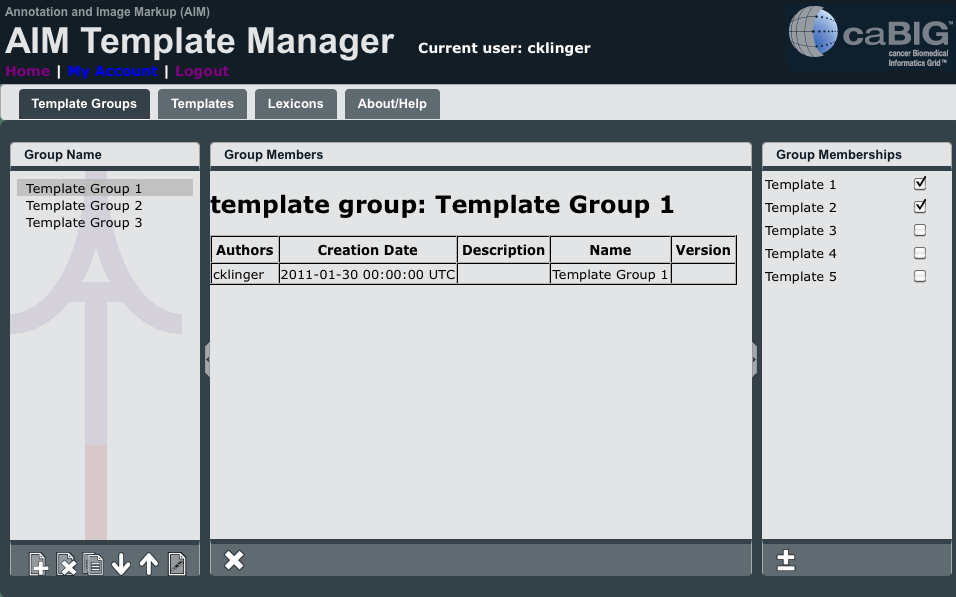 AIM Template Manager with Template Group 1 selected and the boxes next to Template 1 and Template 2 selected.