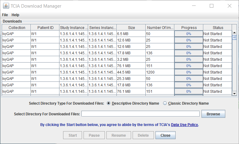 TCIA Download Manager, downloads not started