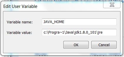 The Edit User Variable dialog box with the Java home variable.