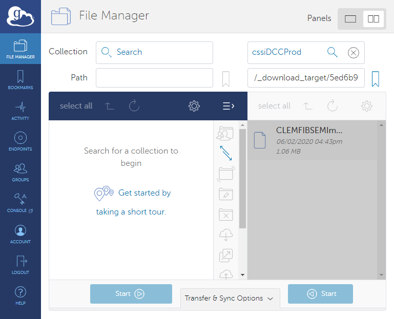 Globus File Manager page.