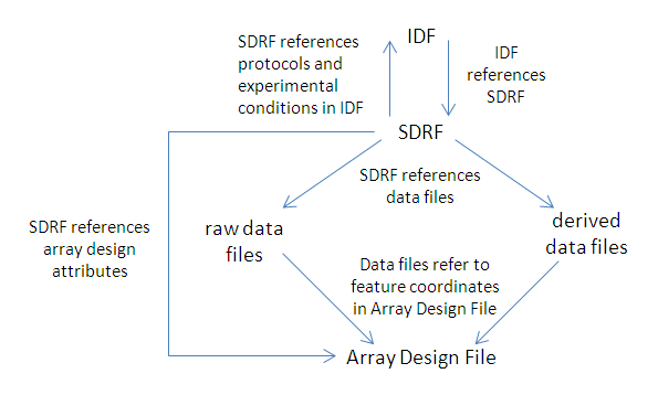 diagram illustrating the relationships of MAGE-TAB files to data files in caArray