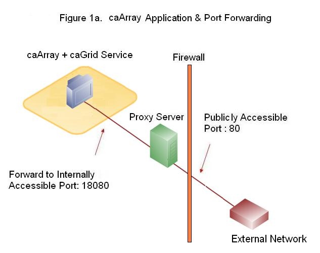 caArray Application and Port Forwarding as explained in the text that follows