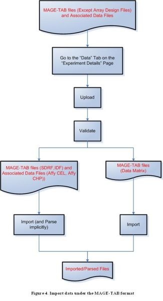 Diagram of Process Flow to Import a MAGE-TAB File