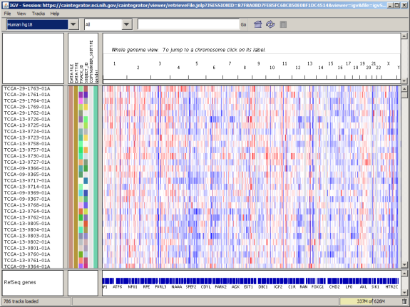 Screenshot of main Integrative Genomics Viewer window