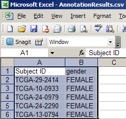 Screenshot of Microsoft Excel window showing query results from exported CSV file.