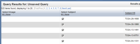 Screenshot of 'Query Results' tab showing list of subject IDs who met specified search criteria