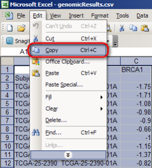 Screenshot of Microsoft Excel window showing how to highlight and copy query results from exported CSV file