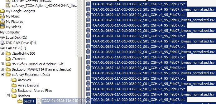 Screenshot of selected batch of array data files being moved into its respective subfolder