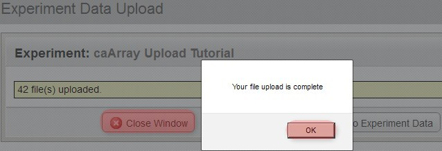 "You'll know when the upload is complete when you see a new window overlaid over the upload window with the message