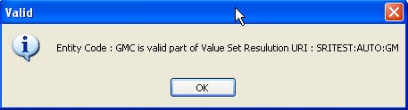Window telling if entered Entity Code is part of expanded Value Set
