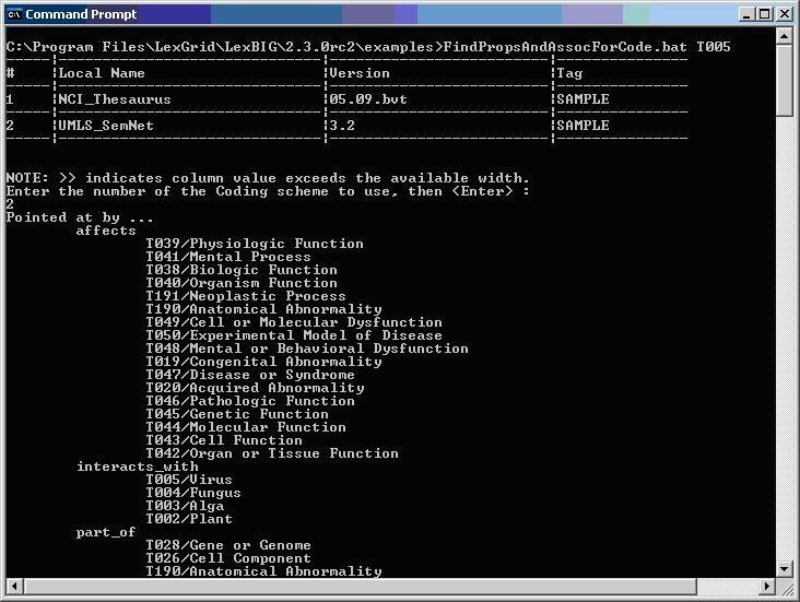 screenshot showing sample program output
