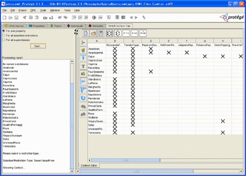 Protégé OWLFCAView tab with cross table for a property.