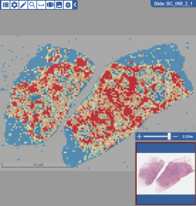Slide showing a heat map on top of the original slide image. A shorter toolbar is at the top left that is customized for use with heat maps and described in this table.